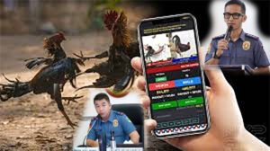 TALAMAK NA ONLINE SABONG NI ALYAS CAPINPIN AT ALVAREZ SA BATANGAS KONEKTADO SA MISSING SABUNGEROS.